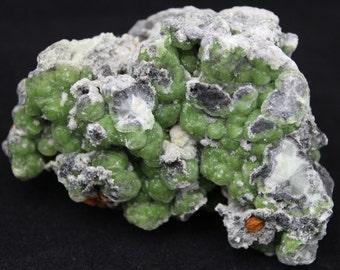 Wavellite Cluster Mineral Specimen WAV8