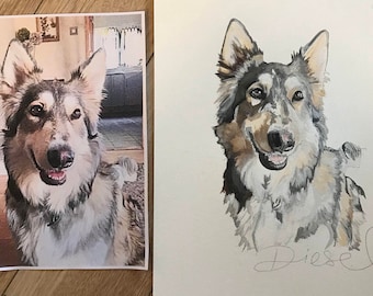 A3 size Custom Pet portraits - orignal watercolour paintings, Dogs, cats, horses, rabbits, any pets , any animal! portraits gifts wall Art