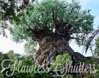 Tree of Life