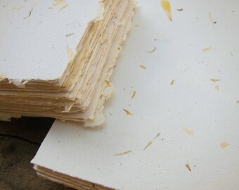 Calendula Flower petal paper sheets, Handmade paper, Recycled paper, Decorative paper, Natural Eco paper, Herb paper, Pack of 4 sheets