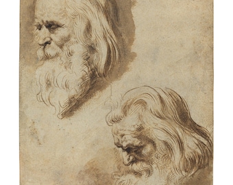 Two Studies of a Man's Head, Flemish Pen and Ink Drawing Print