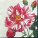 Decoupage paper napkins Flower Scrapbooking supplies Decoupage art Pion