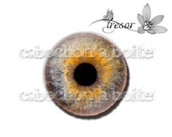 PA652 glasses manual Retro Pupil eyes, eye cabochons