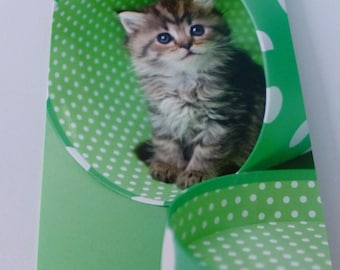Cat in a card box green polka dot card lined with envelope