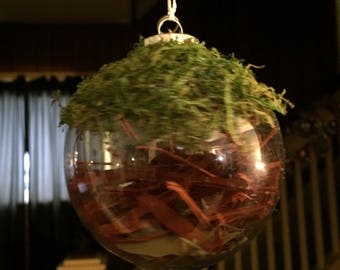 Home blessing and protection ball