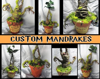 Harry Potter Handmade Custom High Quality "Adult" Mandrake Plant - Choose from 4 different Mandrakes