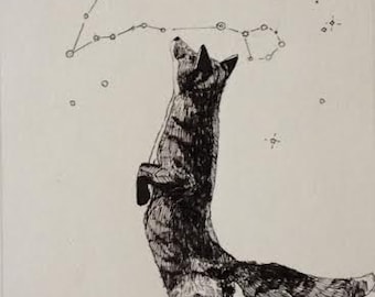 Fox and Stars original pen and ink drawing with custom constellation