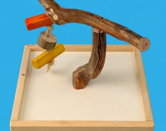 Weathered Manzanita Bird T-Perch Stand With 12" x 12" base-Hand Made Bird Perch #803