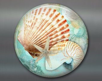 35 starfish beach themed decor beach house decorating ideas beach themed kitchen decor - Beach Themed Decor 35 starfish beach themed decor beach house decorating ideas beach themed kitchen decor - Beach Themed Decor