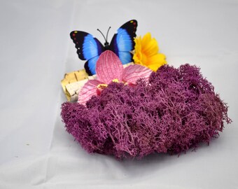 Islandmoos 10g Viola Lila, handgereinigt, präpariert, gefärbt. Sehr weich, leicht und voluminös. Für Deko, zum Basteln, Modellbau uvm