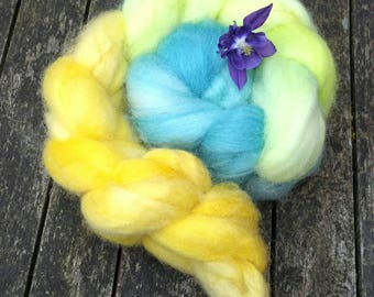 Hand dyed spinning fibre, Bluefaced Leicester, 120g, BFL combed tops, gradient dyed spinning fibre