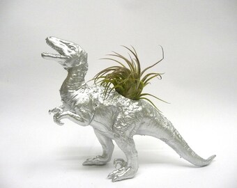 Silver Velociraptor Dinosaur Planter with Air Plant / Coworker Gift / For Her / For Him
