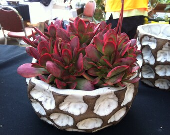Hand Built Ceramic Planter