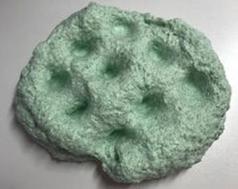 Mint Chocolate Chip Ice Cream
