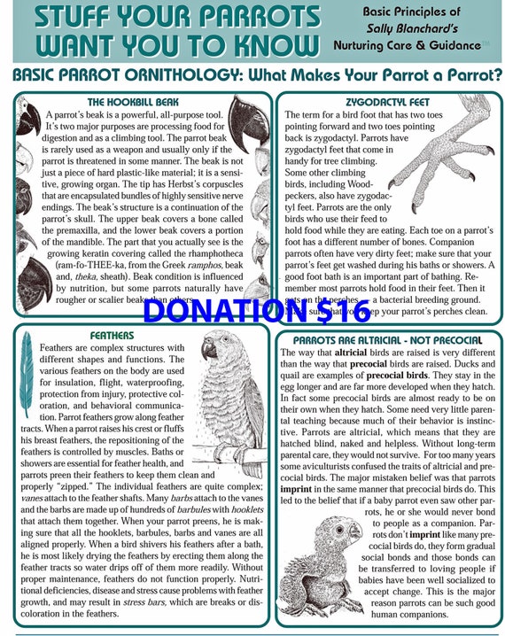 DONATION 16 dollars to Sally Blanchard' Parrot Resources: Newsletter, Facebook Group, Website Plus 6 Pg Companion Parrot Behavior .pdf