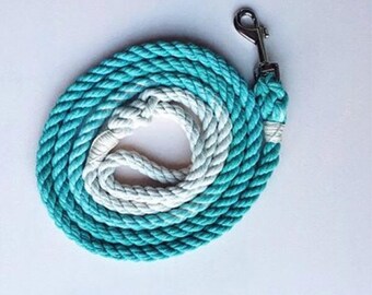 Aquamarine Solid Ombre or Marbled Rope Dog Leash