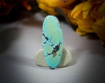 Hubei Turquoise Cabochon 40-4693