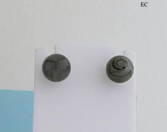 Labradorite and Silver earrings