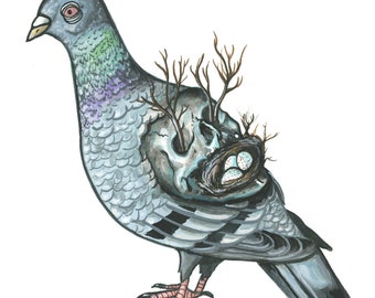 Decomposing Pigeon Print