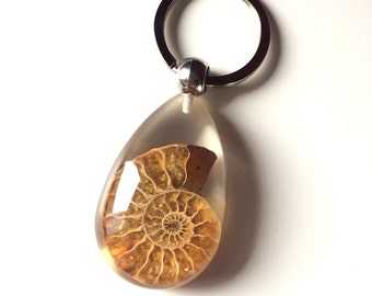 Ammonite polished resin keyring gift