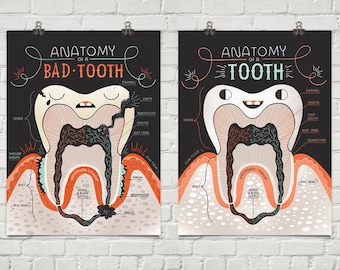 Anatomy of a Good Tooth and Bad Tooth: Two Art print Set