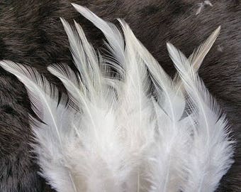 Natural Ivory White Rooster Saddle Feathers - Lot of 50