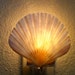 Irish Flat Scallop Seashell Night Light Polished shiny and smooth Coastal Treasures Nautical Gift