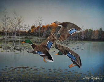 Landing Zone, ducks in flight