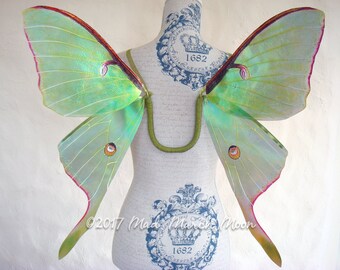 Luna Moth Costume wings, transparent iridescent wings, adult size, hand tied ribbon, handmade fairy wings, wearable wings, cosplay wings