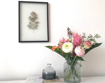 Asparagus Umbellatus in black frame