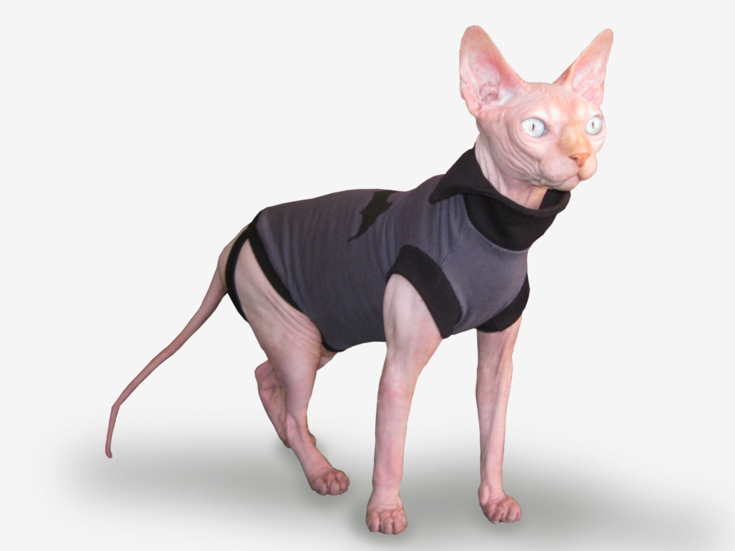 Одежда для сфинкса из флиса. Пошив одежды для сфинксов. Сшить одежду для сфинкса. Сфинкс кот в одежде. Сшить одежду для сфинкса.
