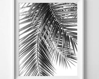 Palm Leaves, Palm Print, Botanical Prints, Tropical Decor, Tropical Wall Art, Exotic Wall Art, Palm Leaf, Black Palm Prints, Black And White