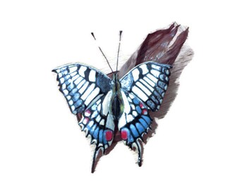 Hand carved, hand painted, lime wood butterfly with a cheery wood base Swallowtail butterfly. Wood carving, unique sculpture. One of a kind.