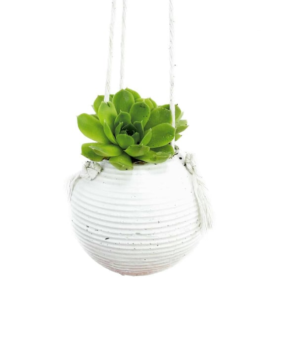 Modern Planter/Concrete Planter/Hanging Planter/Modern Decor/Succulent Planter/Indoor Planter/Office Planter/Sphere planter/orb planter