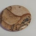 Large drilled picture jasper cabochon pendant