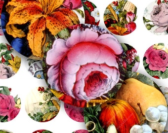 Flowers and Fruits from Vintage Hand-Colored Lithographs in 1.25-inch Circles -- piddix digital collage sheet no. 54