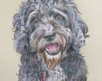 Bespoke coloured pencil pet portrait.