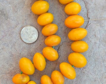 African Copal Resin Beads: 15x22mm