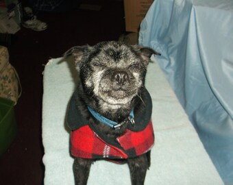 X-Small Macho Dog coats
