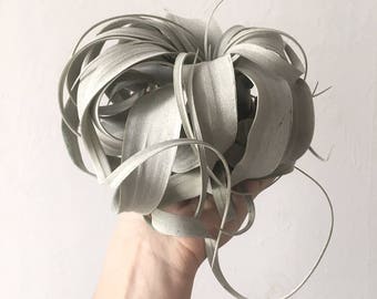Luftpflanze Tillandsia Xerographica Exostiche Schöne Pflanze Dekoidee Gechenkidee Pflanze Lose