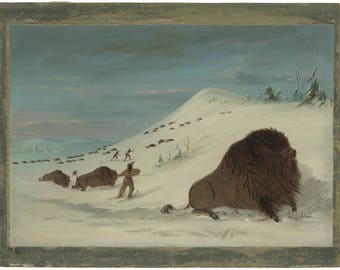 George Catlin : Buffalo Lancing in the Snow Drifts (1861-69) Canvas Gallery Wrapped Giclee Wall Art Print (D45)