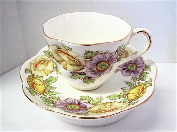 Salisbury Cup and Saucer, Iceland Poppy, Fine Bone China England, Vintage Floral