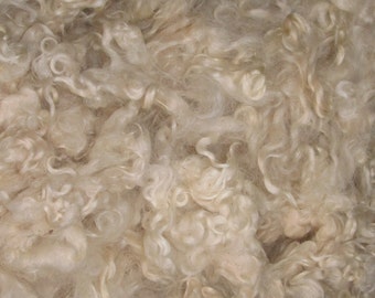 Lamb's locks, Wensleydale x Teeswater 2 Ounces Natural white