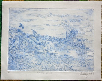 Drypoint Print "Piping Plover"