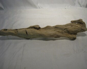 Driftwood Art - Beautiful Decorative Driftwood Decor - Fantastic Textures - Unlimited Possibilities !