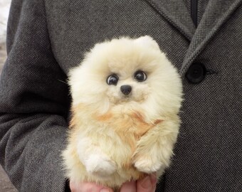Pomeranian Spitz, dog OOAK Handmade gifts, Animal Art Doll, kawaii plush ,,poseable doll Small