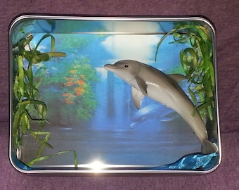 Dolphin Cove Mini Shadow Box