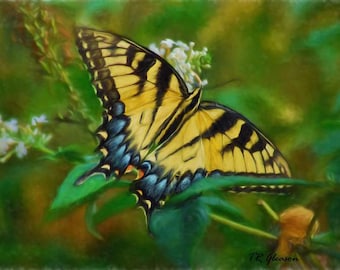 Tiger Swallowtail Butterfly