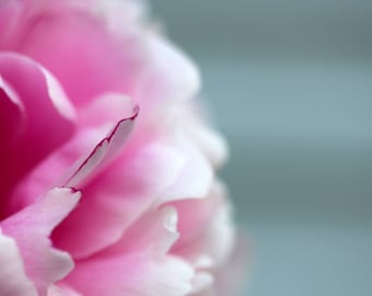 Pink Beauty, Pink Peony, Flower Photograph, Nature Photography, Wall Art, Home Decor