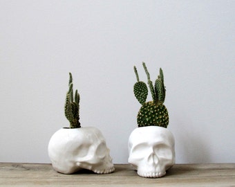 Ceramic Skull Planter Halloween Home Decor